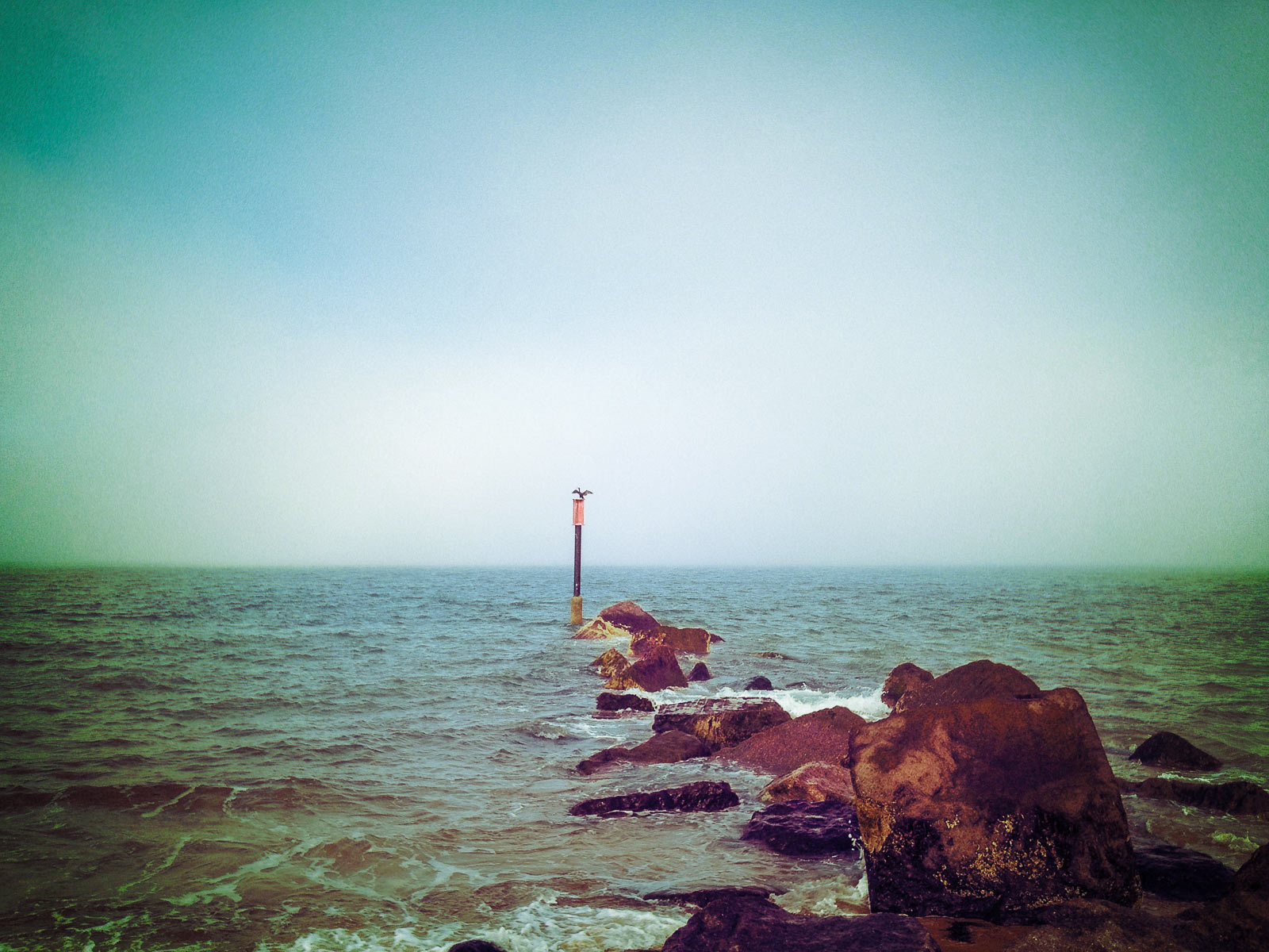 Tim_Platt_iphone_056